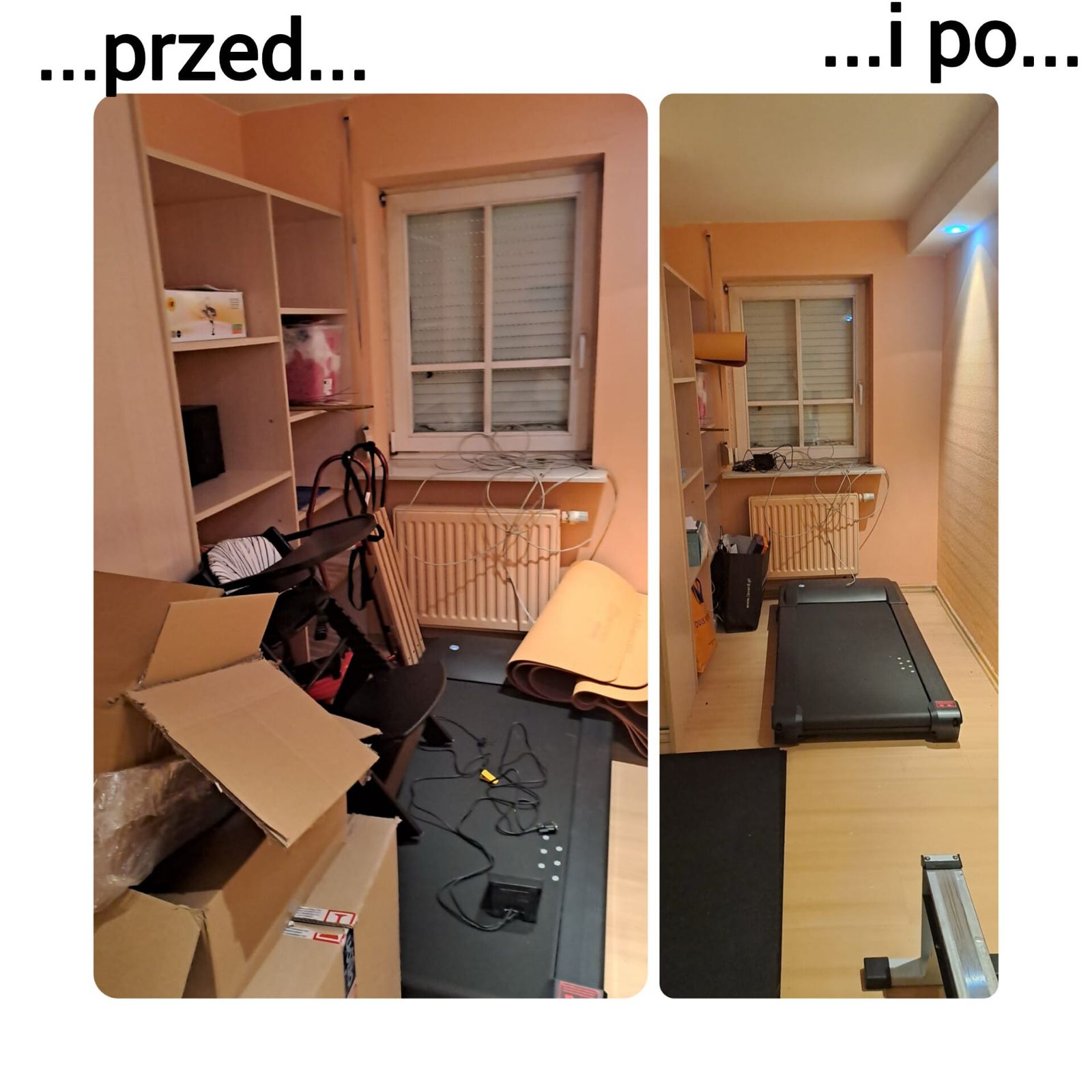 organizacja siłowni Warszawa